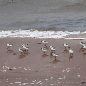 Meet your Posher, Lynn